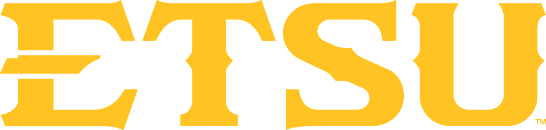 ETSU Buccaneers 2014-Pres Wordmark Logo diy fabric transfer